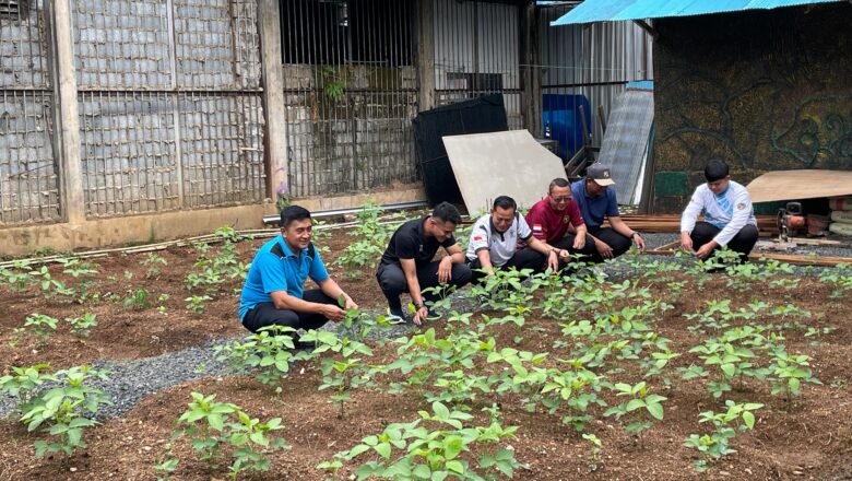 Dorong Produksi Tempe Mandiri, Lapas Narkotika Karang Intan Kelola Lahan Kedelai