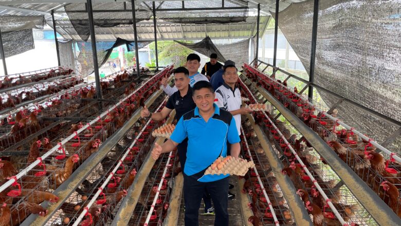 Telur Ayam Hasil Binaan: Kalapas Narkotika Karang Intan Langsung Turun ke Kandang