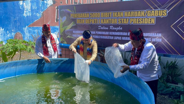 Tebar 5.000 Bibit Ikan Haruan, Tim KSP RI Dukung Program Perikanan Lapas Narkotika Karang Intan