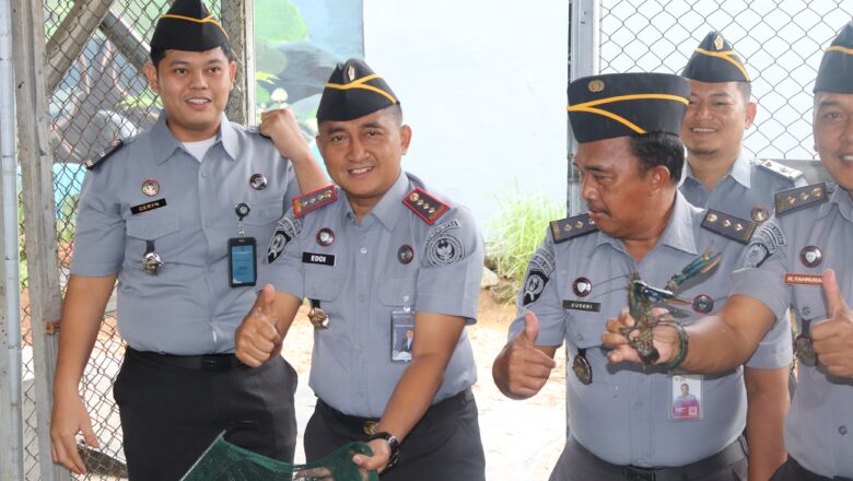 Dukung Ketahanan Pangan, Kalapas Narkotika Karang Intan Tinjau Budidaya Lobster Air Tawar